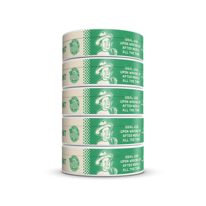 CAFFEINE BREAK Peppermint Caffeine Pouches